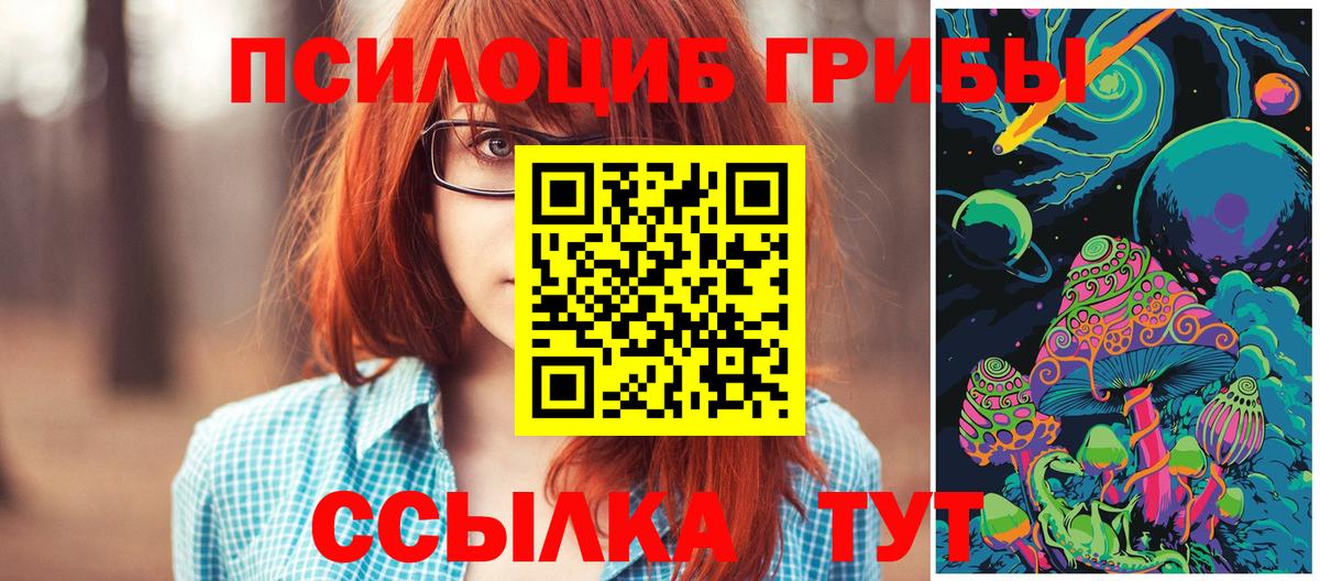 Псилоцибиновые грибы Psilocybine cubensis Кунгур